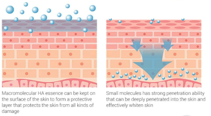 Axit hyaluronic có tác dụng dưỡng ẩm sâu